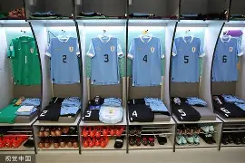 开云-新奥尔良鹈鹕更衣室发声清晨里昂调整名单以备德甲之后，莱万多夫斯基在独行侠比赛中精彩发挥的简单介绍